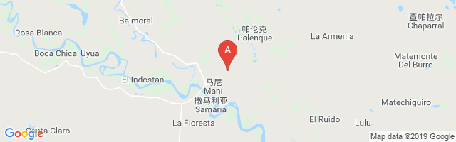 Casanare Airport图片