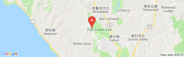 Bonny Doon Village Airport图片