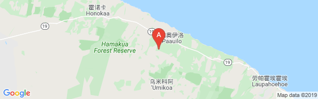 Upper Paauilo Airstrip Airport图片