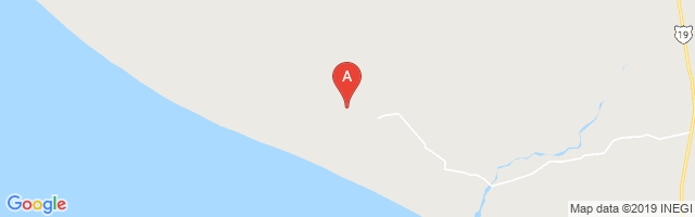 Melitón Albáñez Domínguez Airstrip Airport图片