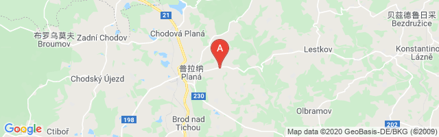 Kříženec Planá Airport图片