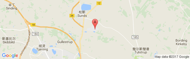 Herning Airport图片