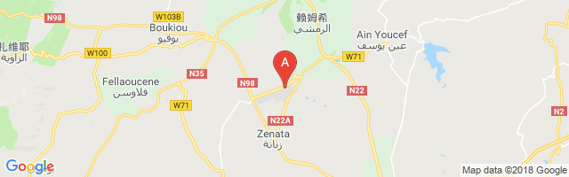 特莱姆森机场 Zenata – Messali El Hadj Airport图片