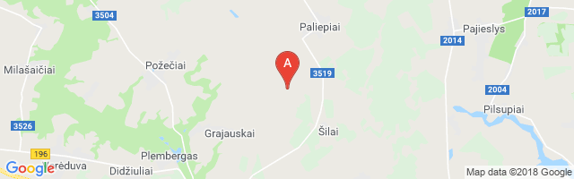 Paliepiai Air Base Airport图片