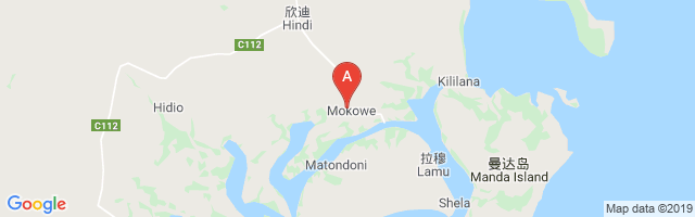 Mkowe Airport图片