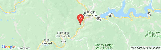 Downsville Airport图片