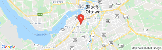 Ottawa (Civic Hospital) Airport图片