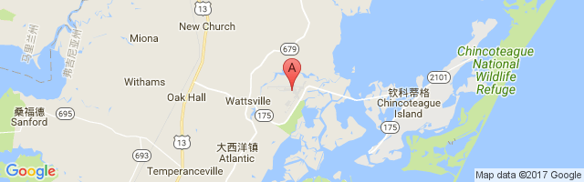 Wallops Flight Facility Airport图片