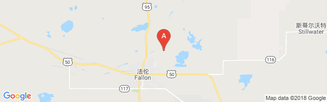 Fallon Municipal Airport图片