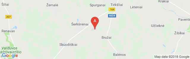 Tirkšliai Airport图片