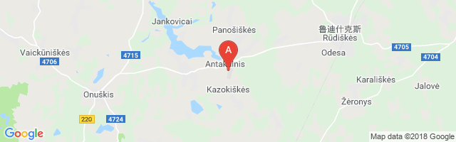 Rūdiškės Airport图片