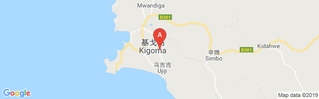 Kigoma Airport图片