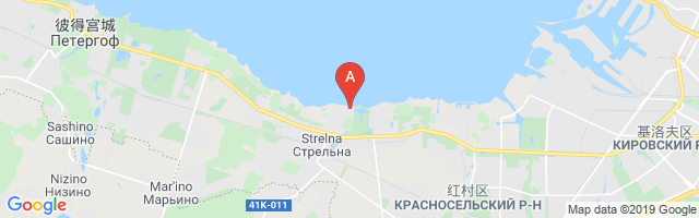 Strelna Airport图片