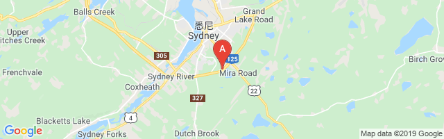 Sydney (Cape Breton Regional Hospital) Airport图片
