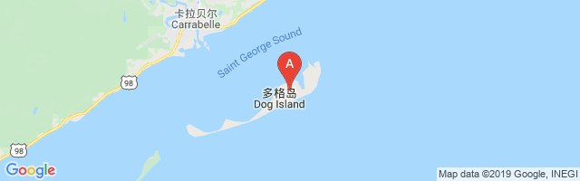 Dog Island Airport图片