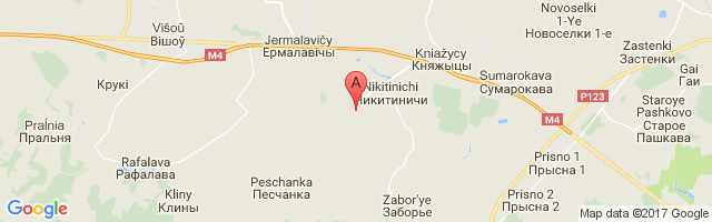 Mogilev Airport图片