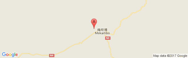 Mekambo Airport图片