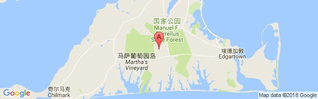 Martha's Vineyard Airport图片