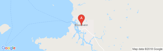 Bloodvein River Airport图片