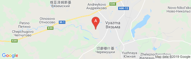 Vyazma Zapadny Airstrip Airport图片