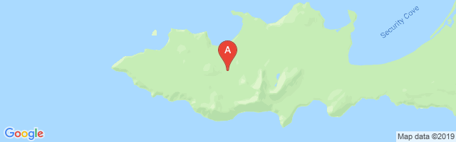 Cape Newenham LRRS Airport图片