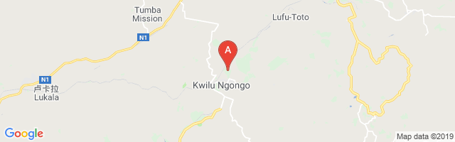 Kwilu-Ngongo Airport图片