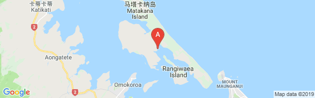 Matakana Island Airport图片