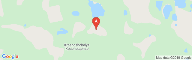 Krasnoshchelye Airport图片