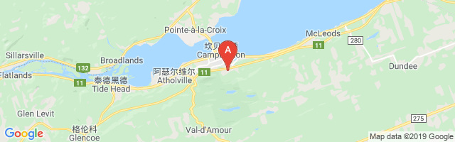 Campbellton (Regional Hospital) Airport图片