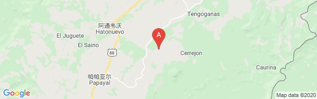 Cerrejón Central Airport图片