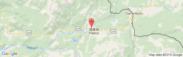 Alto Palena Airport图片