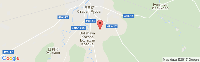 Staraya Russa Airport图片