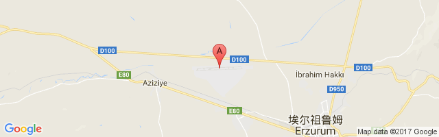 Erzurum International Airport图片