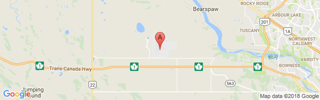 Calgary / Springbank Airport图片