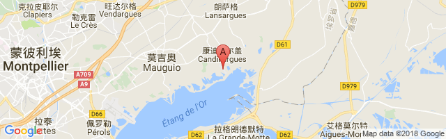 Montpellier Candillargues Airport图片