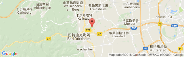 Bad Dürkheim Airport图片