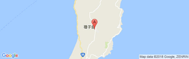 New Tanegashima Airport图片