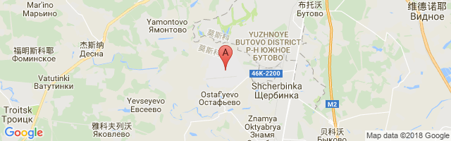 Ostafyevo International Airport图片