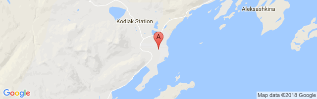 Kodiak Airport图片