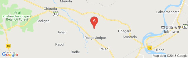 Rasgovindpur Airstrip Airport图片