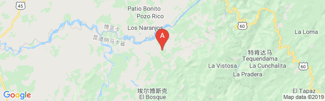 Puerto Boyacá Airport图片