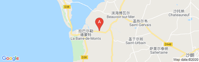 Beauvoir-Sur-Mer Airport图片