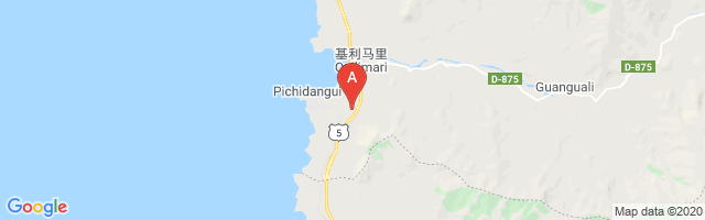 Pichidangui Airport图片