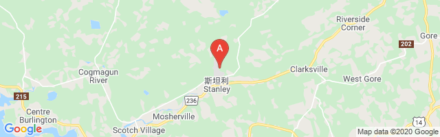 Stanley Airport图片