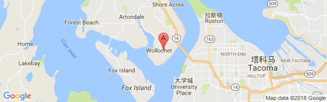 Tacoma Narrows Airport图片