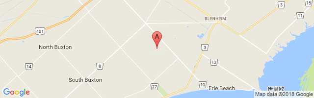 Chatham Kent Airport图片