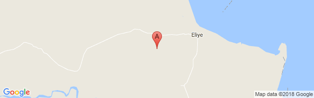 Eliye Springs Airport图片