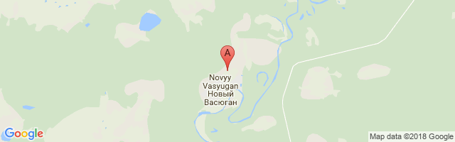 Novy Vasyugan Airport图片