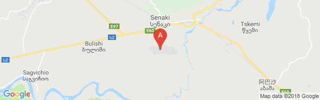 Senaki Air Base Airport图片