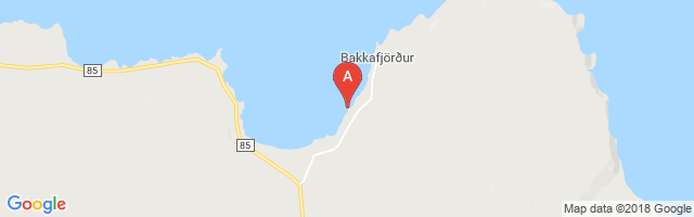 Bakkafjörður Airport图片